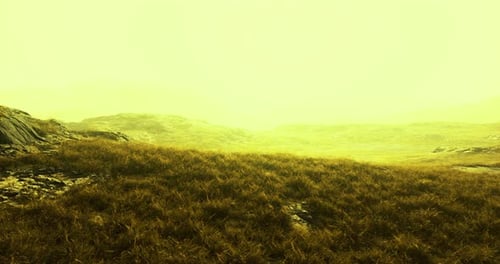 Misty Landscape Bathed in Golden Light at Dawn Evoking Serenity and Wonder