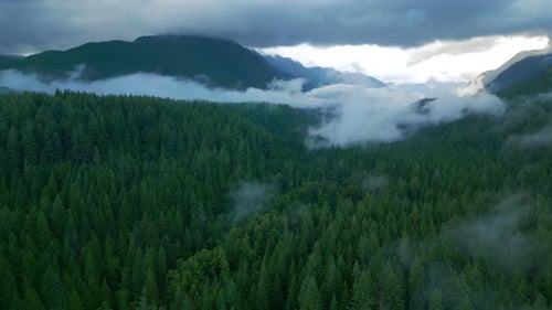 Aerial View of Beautiful Mountain Landscape Fog Rises Over the Mountain Slopes