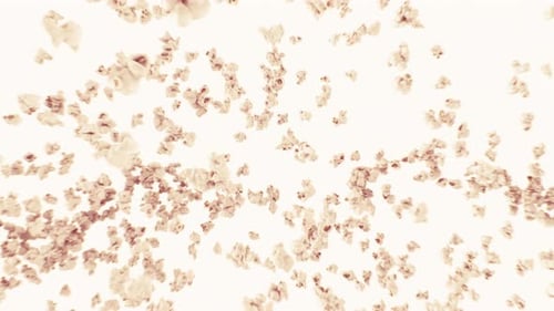 Exploding Popcorn Transition Reveal with Alpha Channel