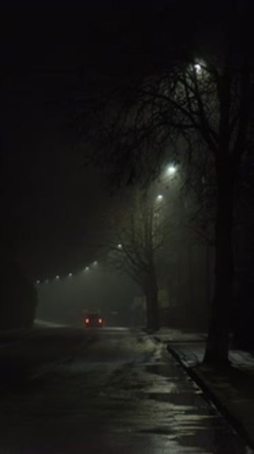Wet and Foggy Street Scene with Cars Reflecting Off the Shiny Road Surface Vertical Video
