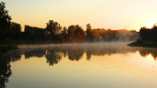 Frühmorgendliche Landschaft in einem sommerlichen Stadtpark 020