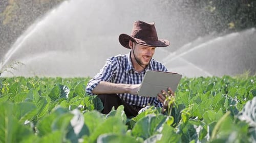 Farmer Using Digital Tablet During Monitoring His Plantation