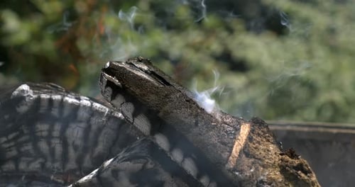 Burnt firewood glowing from within as flames lick surface and smoke floats upward