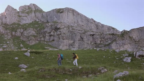 Mountain hikers walking through verdant alpine meadow, navigating rocky terrain with scenic peaks to