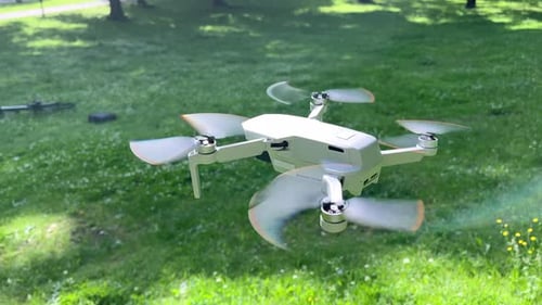 Top Down Shot of Drone Hovering in Green Park