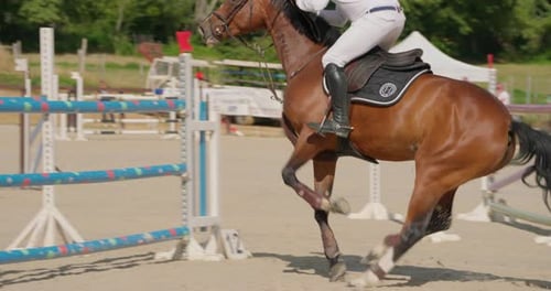 Horse and Rider Jump Over Obstacles