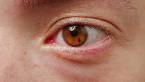 Green Brown Macro Woman Eye Closeup Womans Blinking Eye with Long Eyelash and Contact Lens Beauty