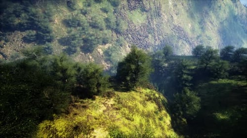 Misty Foggy Mountain Landscape with Fir Forest