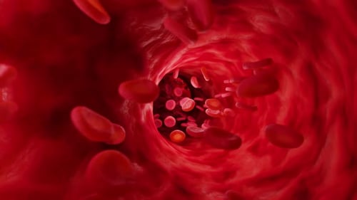 Blood cells flowing dynamically through a vibrant, healthy vessel