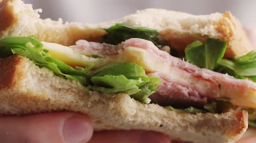 Ham and Cheese Sandwich Close Up Detail