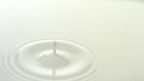 Single milk drop splashing in slow motion creating wonderful ripples