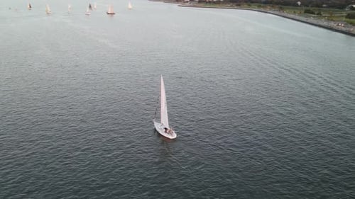 Several Boats Cruising Near The Coastline - aerial shot