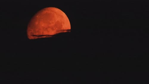 Orange Moon Rising in Dark Night Sky