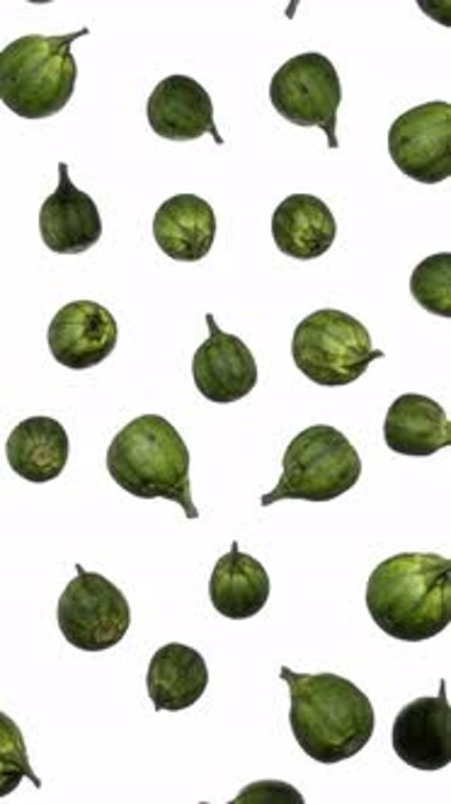 Vertical Floating Round Gourds on White