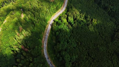 Scenic winding road through lush forest. A beautifully winding road meanders through