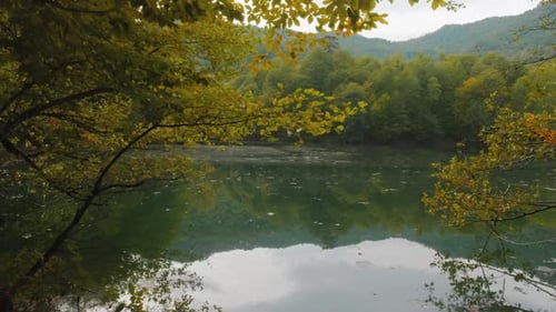 Forest and Lake - 2K