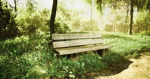 Wooden Bench in a Tranquil Green Park During a Sunny Morning
