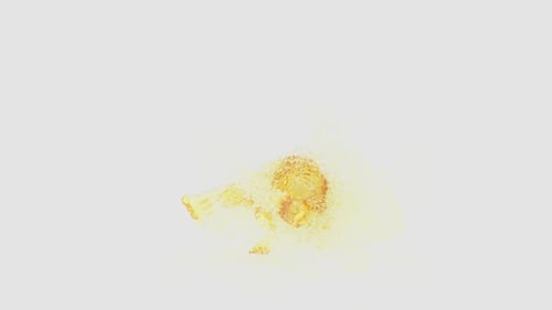 68 Character Oil Dancing Water Splashes HD