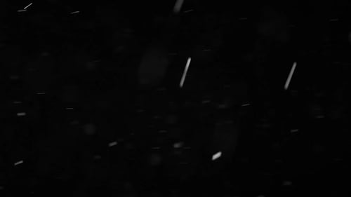 White Particle On Black