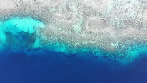 Meer- und Fliegenparadies