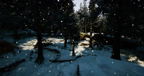 Winter Landscape with Snow Falling in a Serene Forest Setting
