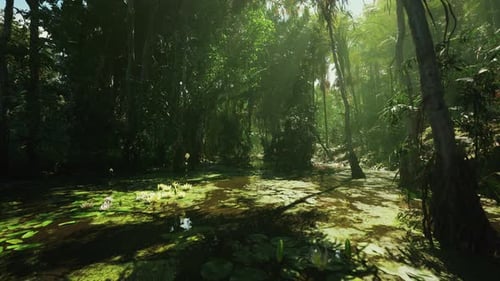Lush Tropical Jungle Swamp with Water Lilies and Sunlight Motion