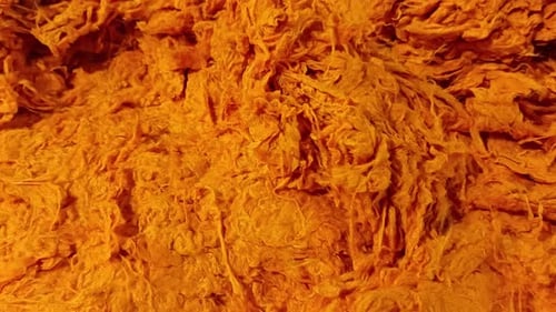 Macro Close Up of an Orange Fluffy Texture