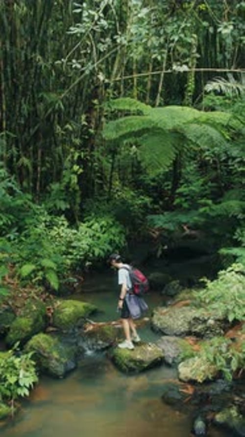 Traveler Crossing Jungle Stream on Rocks in Bali Indonesia