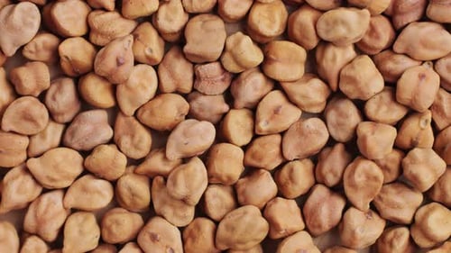 Chickpeas Macro Close Up Background of Uncooked Dried Chickpeas