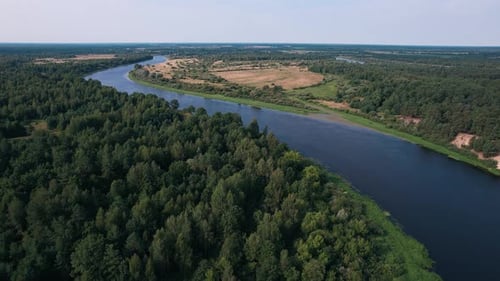 Shooting From a Quadrocopter of a Beautiful Summer Landscape with River Bend Surrounded By Forest