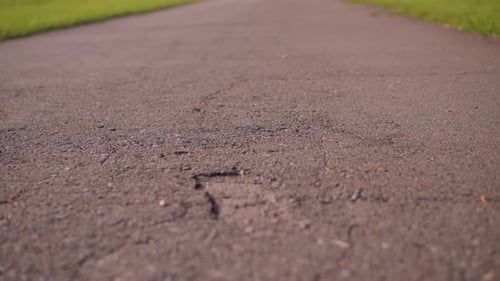 CloseUp of Cracked Road Surface with Green Foliage Blurred in Background