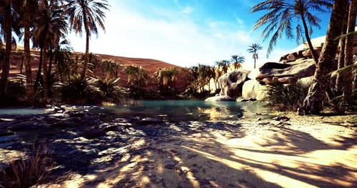 Serene Oasis with Palm Trees and Clear Water Under a Bright Sky