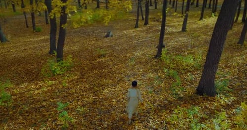 Young Woman Walking Calmly in Beautiful Autumn Forest View From Drone Admiring Nature Prores