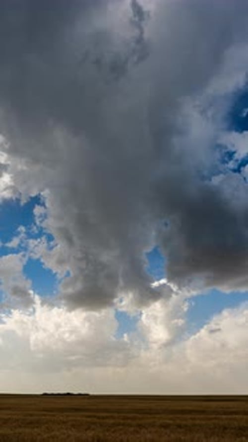 Dramatic Clouds over Wheat Field on Sunny Day