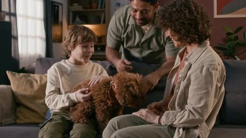 Family Petting and Cuddling a Dog on the Couch