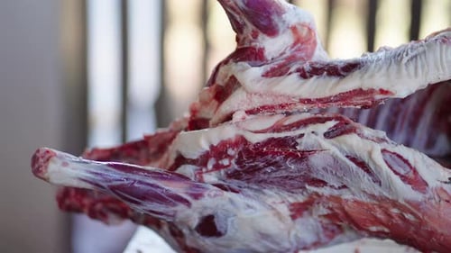 Close-up of lamb meat processing, rustic table with exposed ribcage cuts