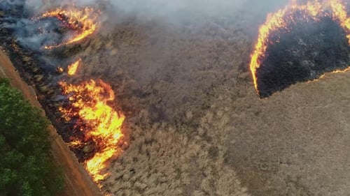 Drone shot of worker starting prescribed fire in dry grass, prevention of unwanted fires