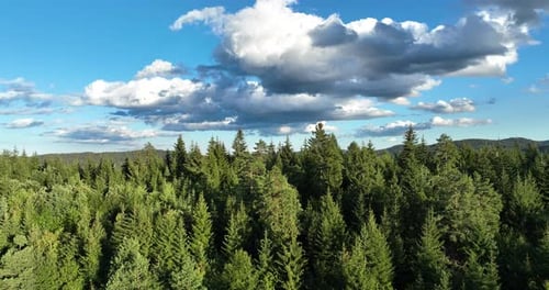 Panorama of Beautiful Countryside of Romania