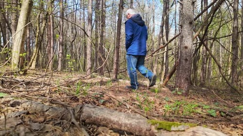 Senior old man enjoys woodland nature walk exercise in early spring
