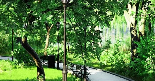 Beautiful Park Pathway Surrounded By Lush Greenery and Trees