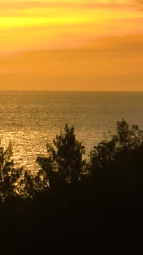 Sonnenuntergang, Meerblick mit Silhouettenbäumen, Seychellen, Mahe