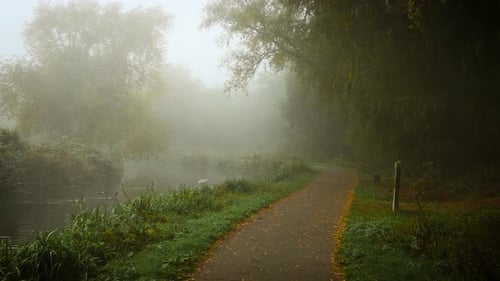Autumn Fog Covering Forest Trail Near Calm River Creating Peaceful Mood Gentle Fog Drifting Across