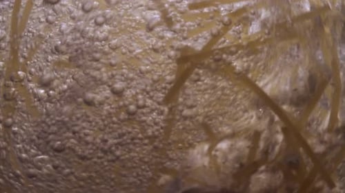 A Slowmotion Video of the Process of Cooking Spaghetti in Pot in Boiling Water