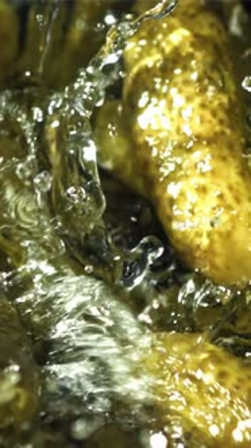 Pickled Cucumbers Fall with Splashes Filmed on a Highspeed Camera at 1000 Fps