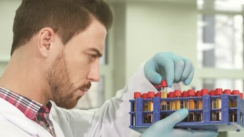 Scientist Examining Test Tubes in a Bright Laboratory