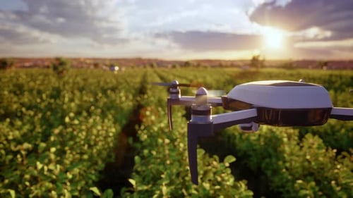 Smart Agricultural Drone Flying Over Green Field at Sunset