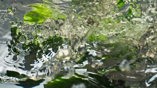 Fresh Vegetables Splashing in Water, Close Up