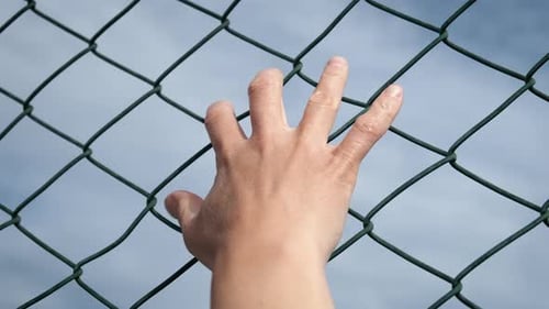 Das Konzept der menschlichen Freiheit