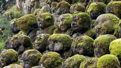 Faces of the Rakan statues of Otagi Nenbutsuji Temple in Kyoto Japan.