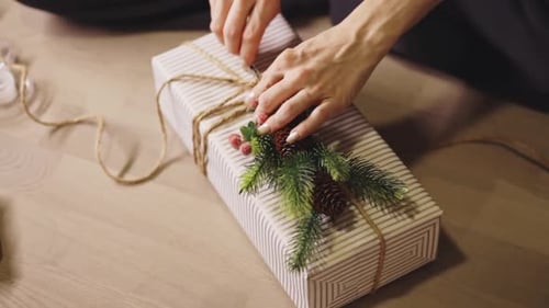 Woman Wrapping Christmas Gift, Decorated With Pine Cones, Sprigs, and Twine. - closeup shot